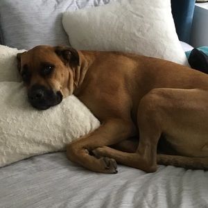 Meet your Posher, Toni